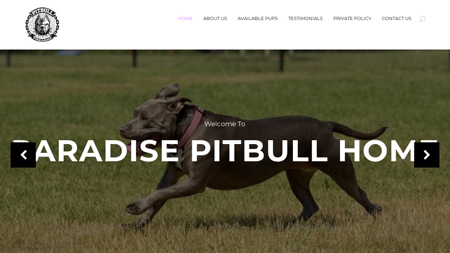 Paradisepitbullhome.com - Pit Bull Puppy Scam Review