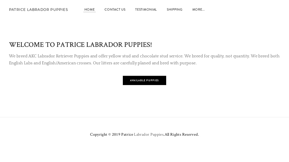 Patricelabradorpets.com - Labrador Puppy Scam Review