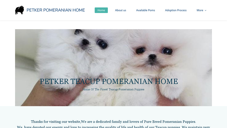 Petkerminifrenchies.com - French Bulldog Puppy Scam Review