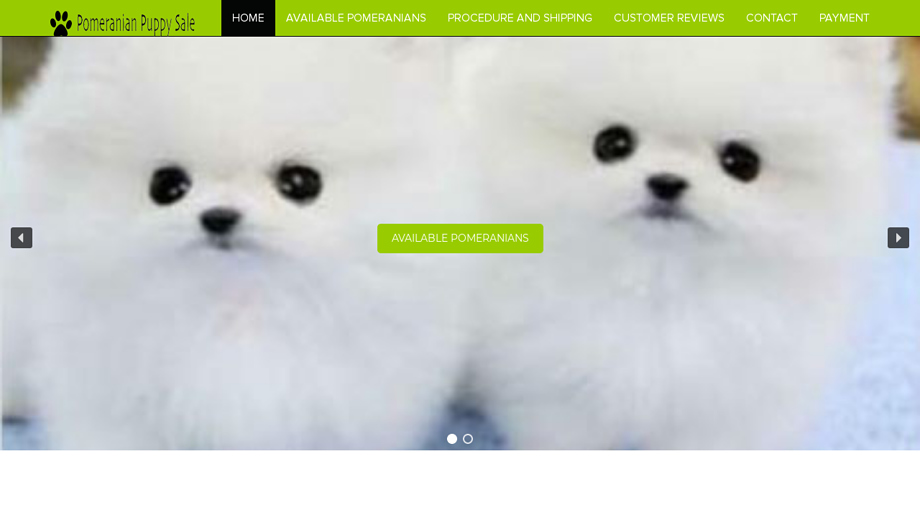 Pomeranianpuppysale.com - Pomeranian Puppy Scam Review