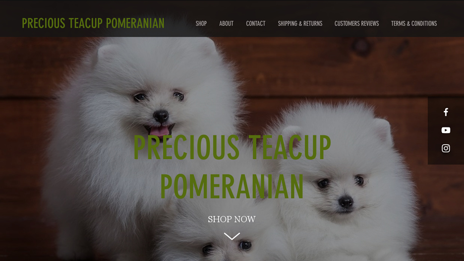 Preciousteacuppom.us - Pomeranian Puppy Scam Review