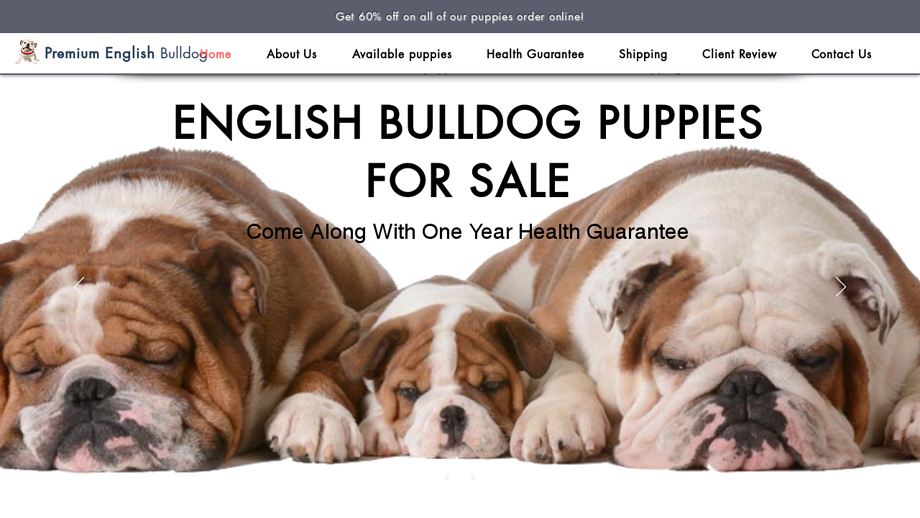 Premiumenglishbulldog.com - English Bulldog Puppy Scam Review