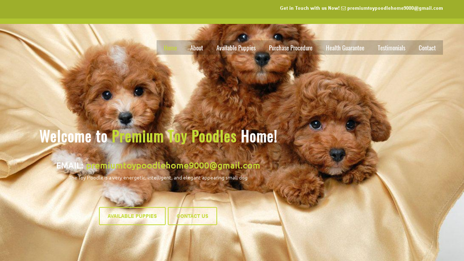 Premiumtoypoodleshome.com - Poodle Puppy Scam Review