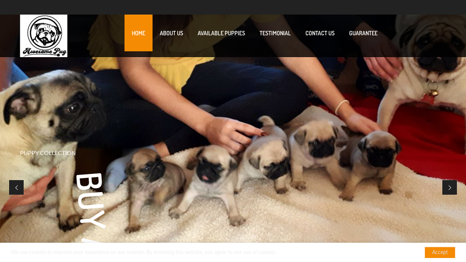 Primechoicepugs.com - Pug Puppy Scam Review