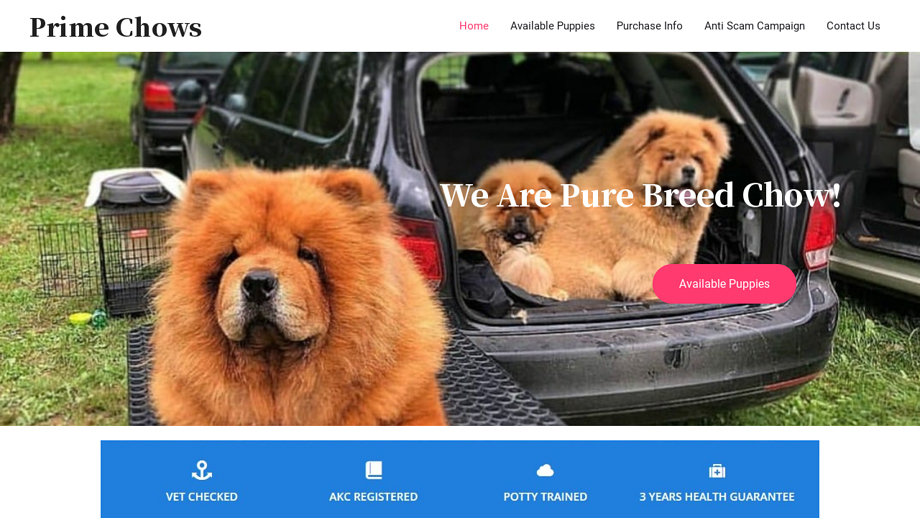 Primechows.com - Chowchow Puppy Scam Review