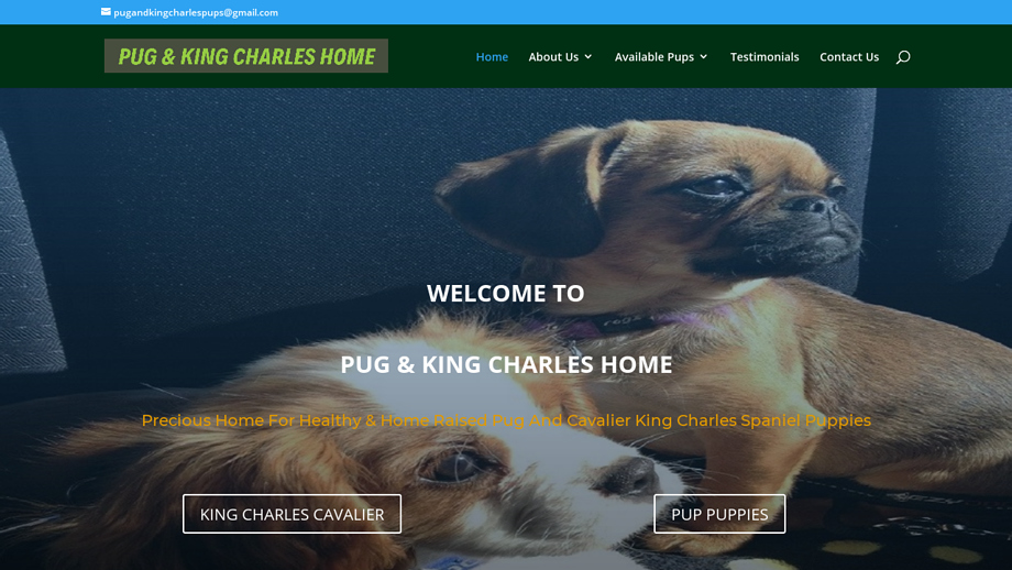 Pugandkingcharlespups.com - Cavalier King Charles Spaniel Puppy Scam Review