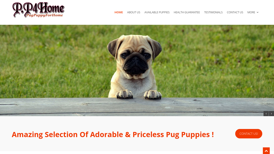 Pugpuppyforhome.com - Pug Puppy Scam Review