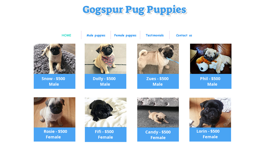 Pugspups4xmas.com - Pug Puppy Scam Review