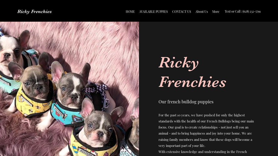 Rickyfrenchies.com - French Bulldog Puppy Scam Review