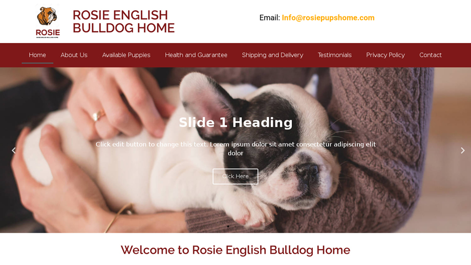 Rosiepupshome.com - English Bulldog Puppy Scam Review