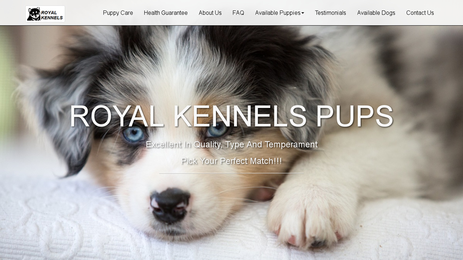 Royalkennells.com - Australian Shepherd Puppy Scam Review