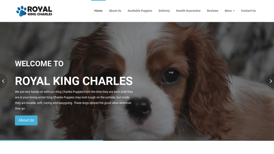 Royalkingcharles.com - Cavalier King Charles Spaniel Puppy Scam Review