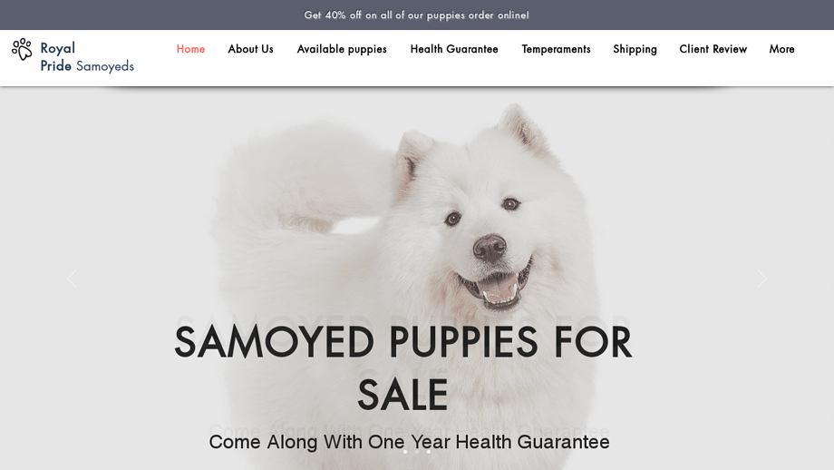 Royalpridesamoyedhome.com - Samoyed Puppy Scam Review