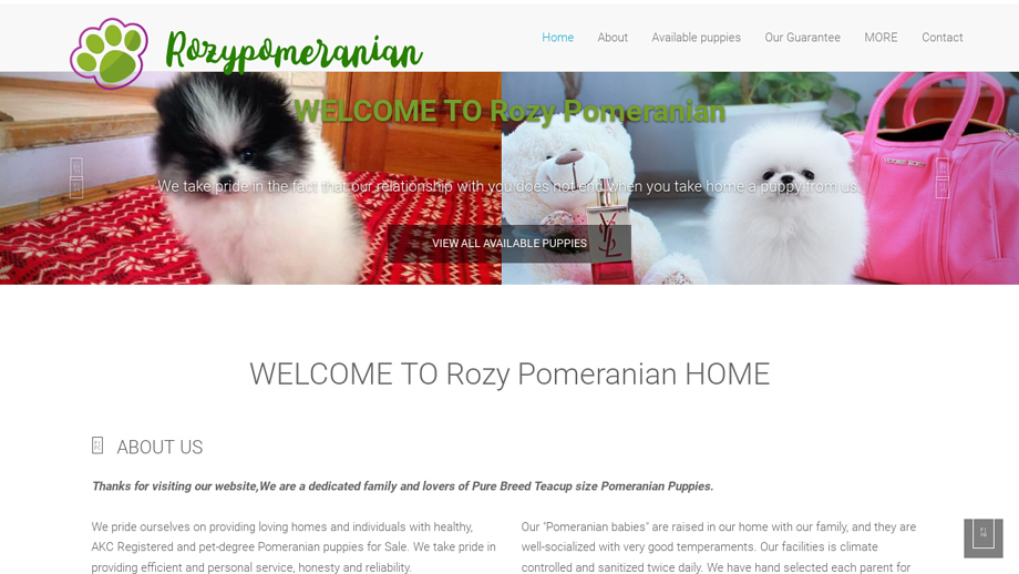 Rozypomeranian.com - Pomeranian Puppy Scam Review