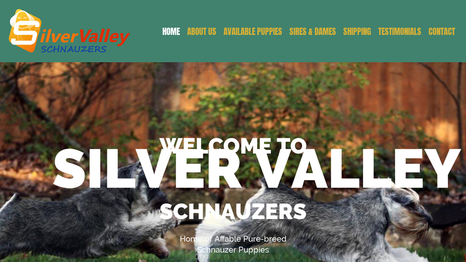 Silvervalleyschnauzers.com - Schnauzer Puppy Scam Review