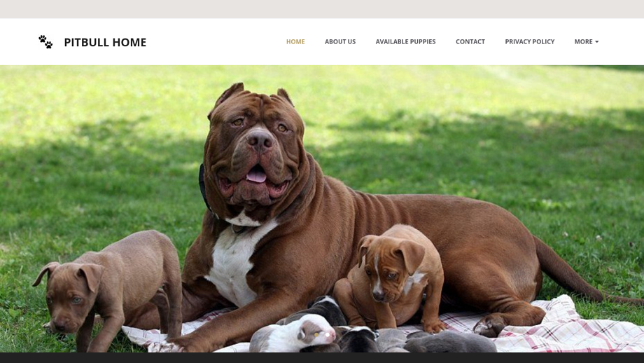 Smirebecapitbullhome.com - Pit Bull Puppy Scam Review