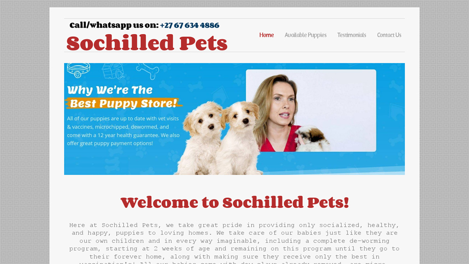 Sochilledpets.com - Pug Puppy Scam Review