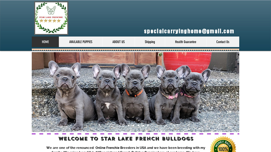 Starlakefrenchies.com - French Bulldog Puppy Scam Review