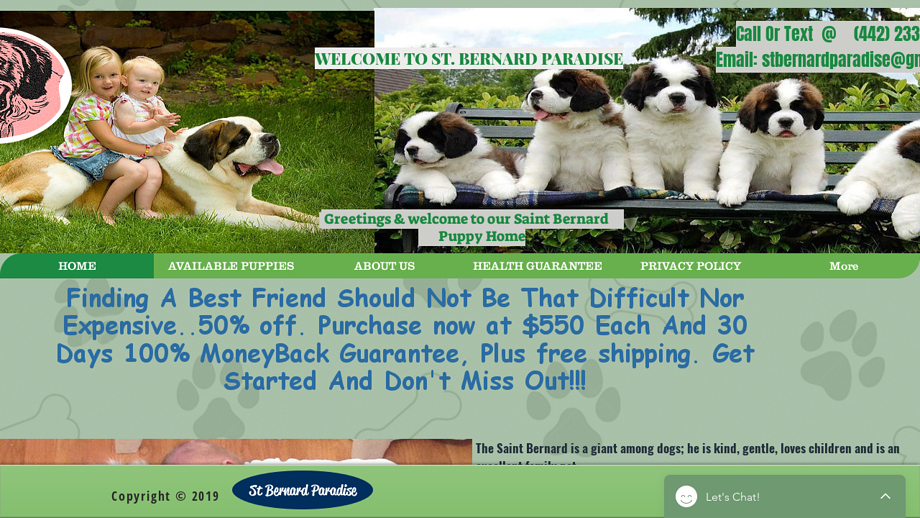 Stbernardparadise.com - Saint Bernard Puppy Scam Review