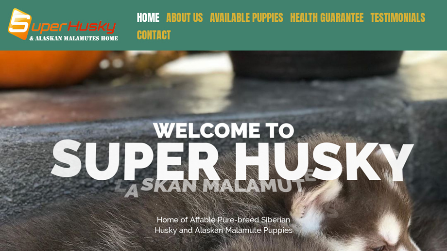 Superhuskyandalaskanmalamuteshome.com - Husky Puppy Scam Review