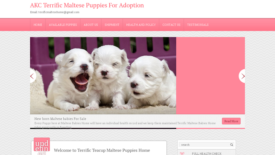 Terrificmaltesehome.com - Maltese Puppy Scam Review