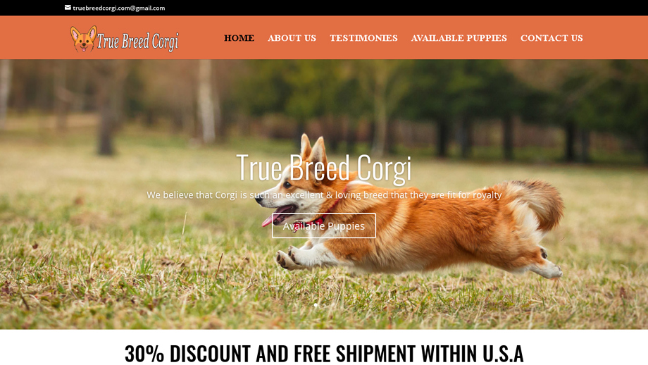 Truebreedcorgi.com - Corgi Puppy Scam Review