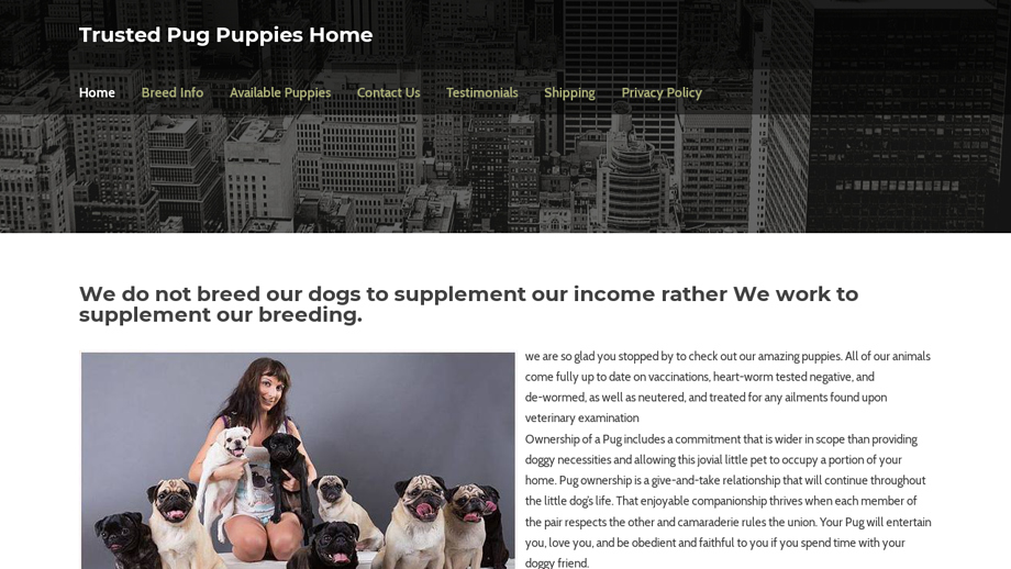 Trustedpugpuppysales.com - Pug Puppy Scam Review