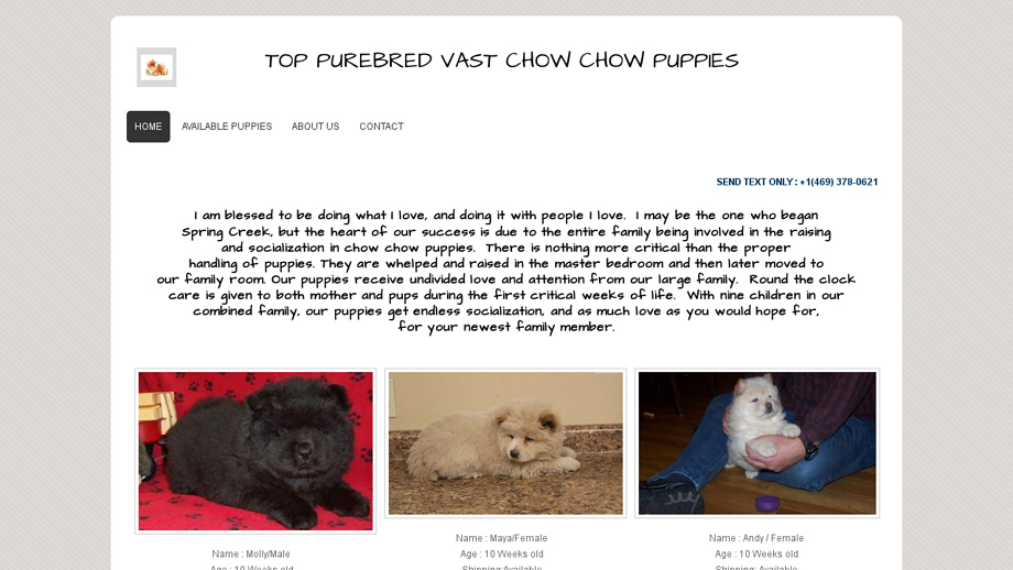 Vastchowchowpups.com - Chowchow Puppy Scam Review