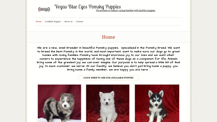 Vergasblueyespomsky.us - Pomeranian Puppy Scam Review