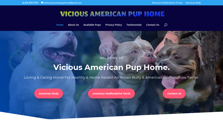 Viciousamericanpuphome.com - Pit Bull Puppy Scam Review