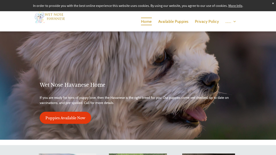 Wetnosehavanese.com - Havanese Puppy Scam Review