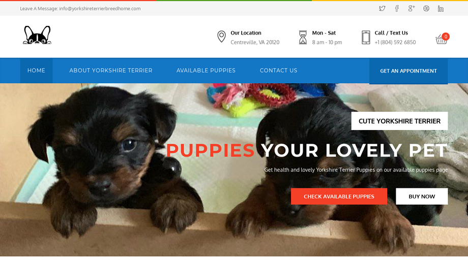 Yorkshireterrierbreedhome.com - Terrier Puppy Scam Review