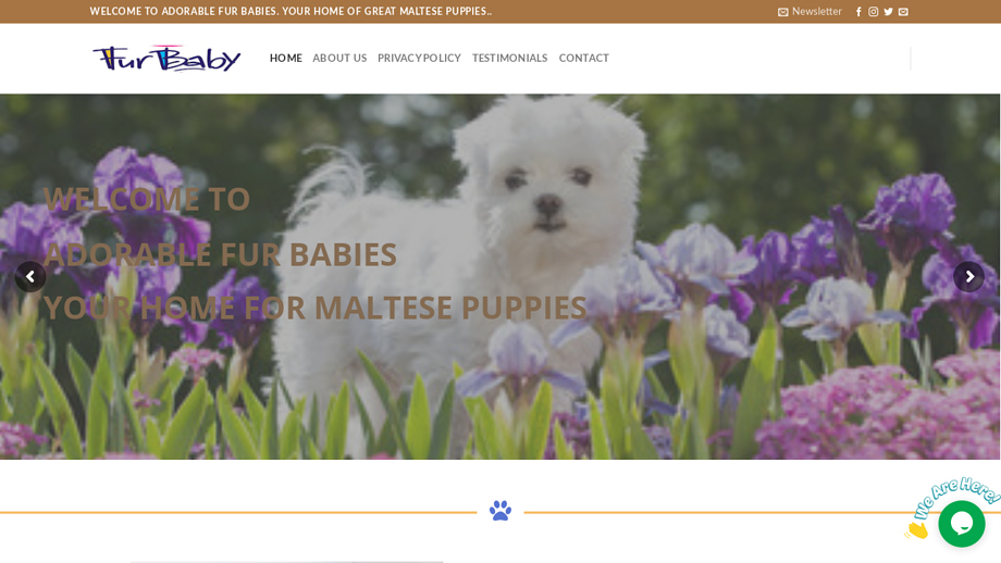 Adorablefurbabies.com - Maltese Puppy Scam Review