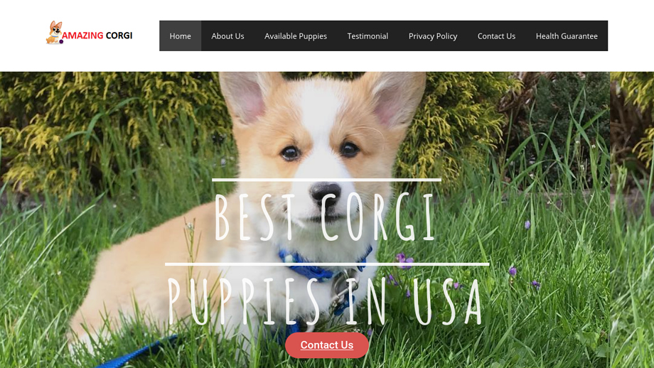 Amazingcorgi.com - Corgi Puppy Scam Review