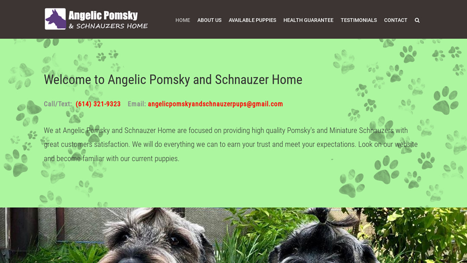 Angelicpomskyandschnauzerhome.com - Pomeranian Puppy Scam Review