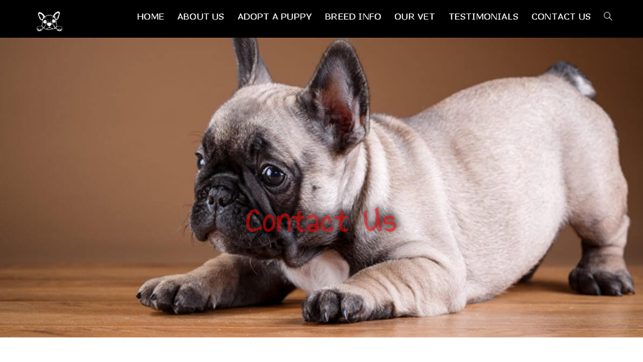 Beautyfrenchbulldogpuppies.com - French Bulldog Puppy Scam Review