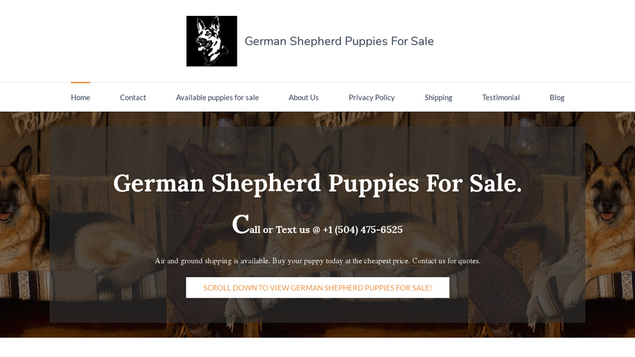 Billgermanshepherds.com - Germanshepherd Puppy Scam Review