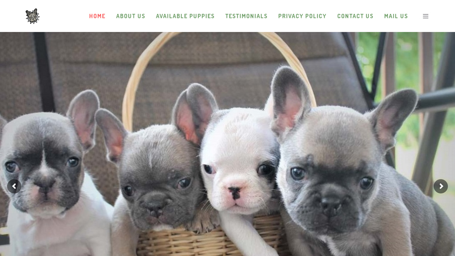 Blueberryfrenchies.com - French Bulldog Puppy Scam Review