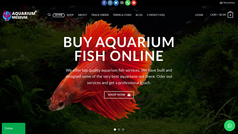 Buypetfish.com - Arowana Puppy Scam Review