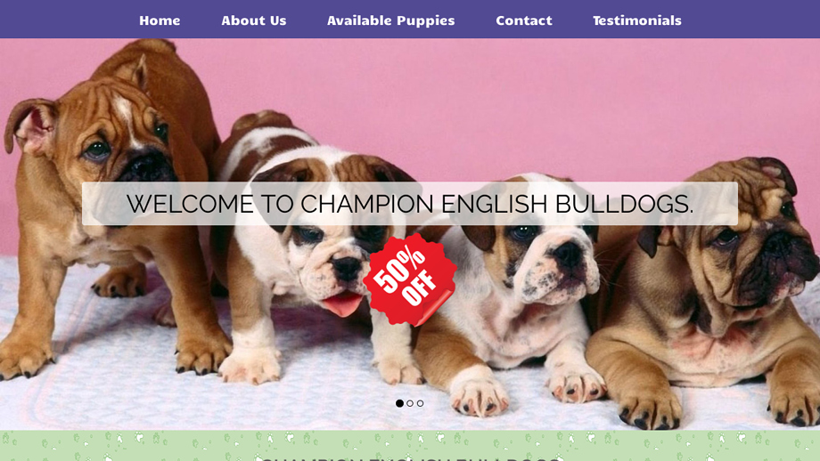 Champsbulldog.com - English Bulldog Puppy Scam Review