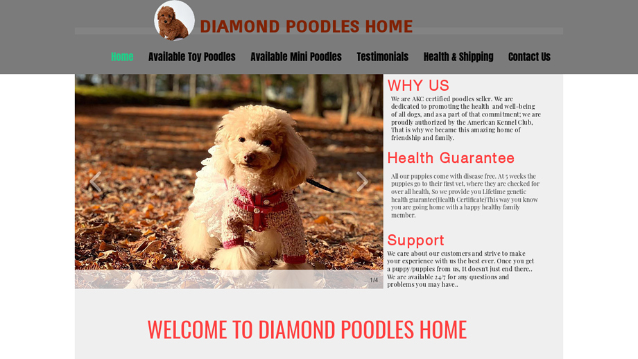 Diamondpoodleshome.com - Poodle Puppy Scam Review