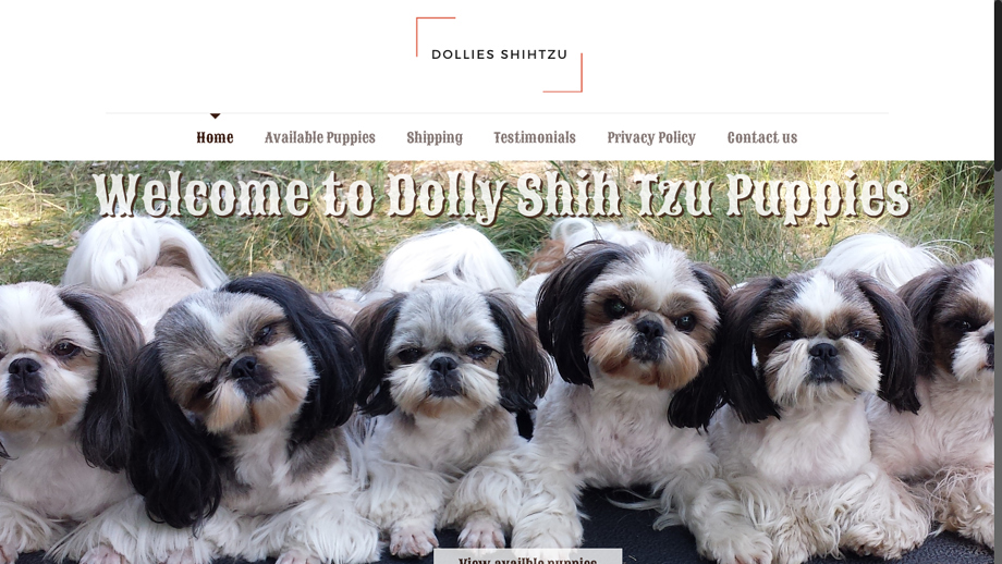 Dolliesshihtzu.com - Shihtzu Puppy Scam Review