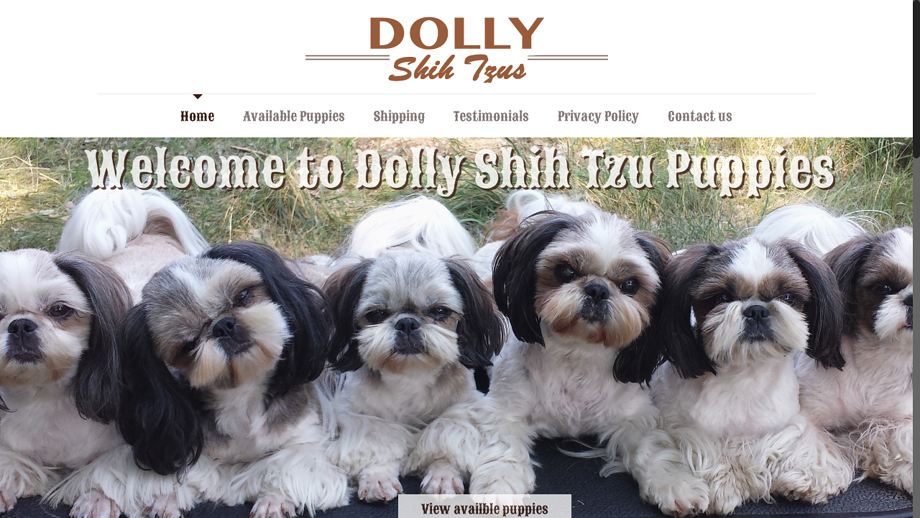 Dollyshihtzus.com - Shihtzu Puppy Scam Review