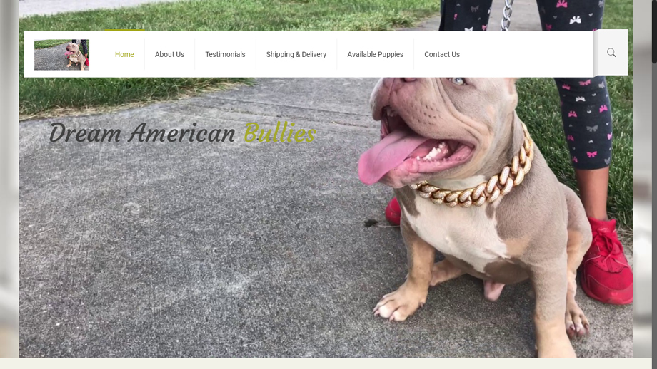 Dreamamericanbullies.com - Pit Bull Puppy Scam Review