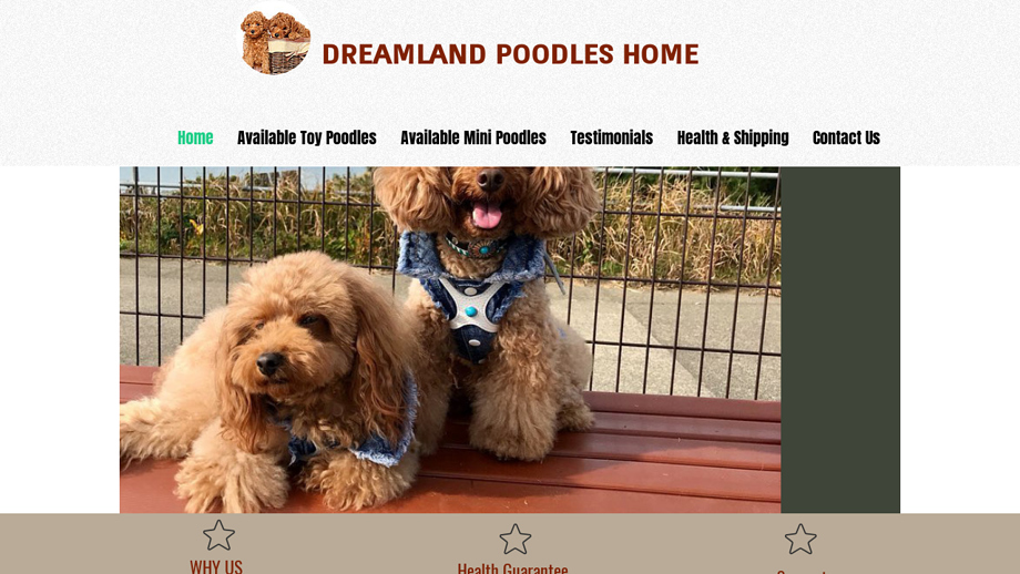 Dreamlandpoodleshome.com - Poodle Puppy Scam Review