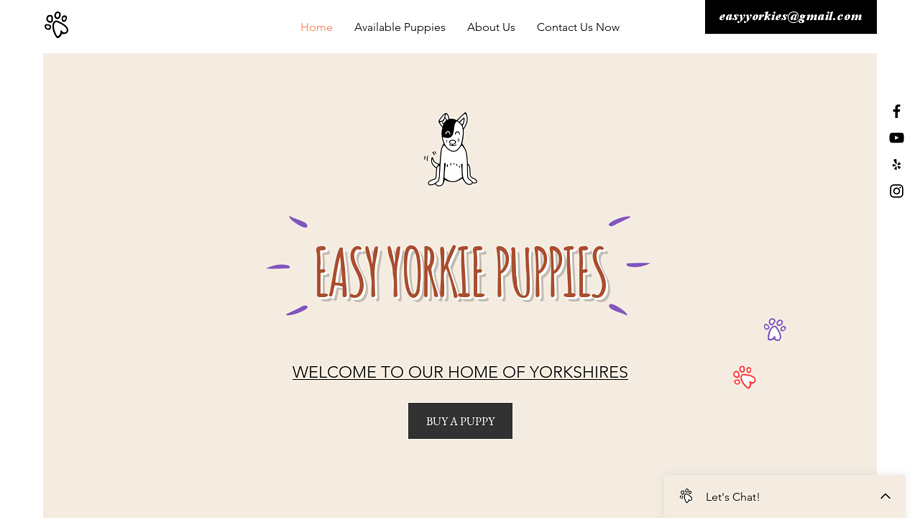 Easyyorkies.com - Yorkshire Terrier Puppy Scam Review