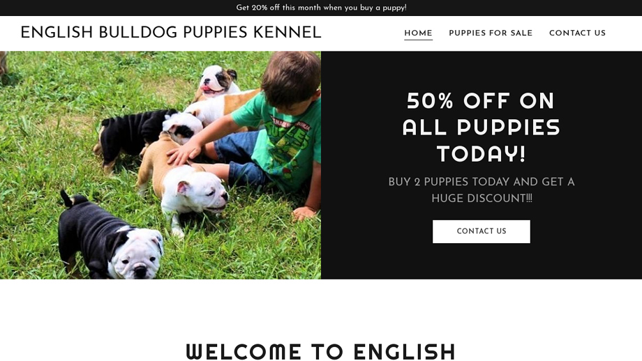 Englishbulldogpuppiesforsale.info - English Bulldog Puppy Scam Review