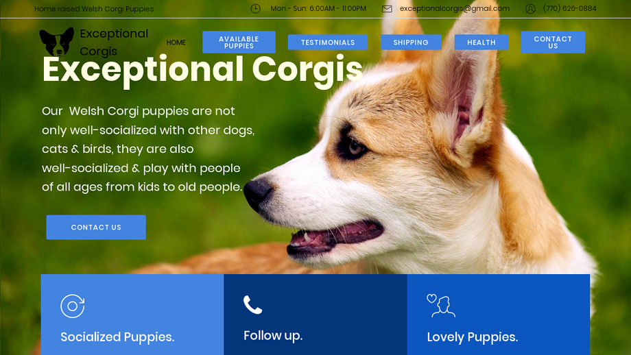 Exceptionalcorgis.com - Corgi Puppy Scam Review