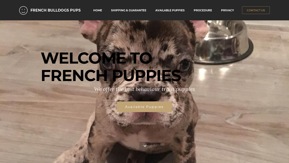 Frenchbulldogspup.com - French Bulldog Puppy Scam Review