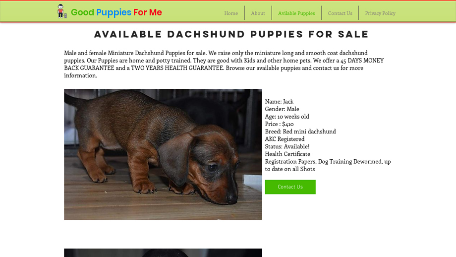 Goodpuppyforme.com - Dachshund Puppy Scam Review